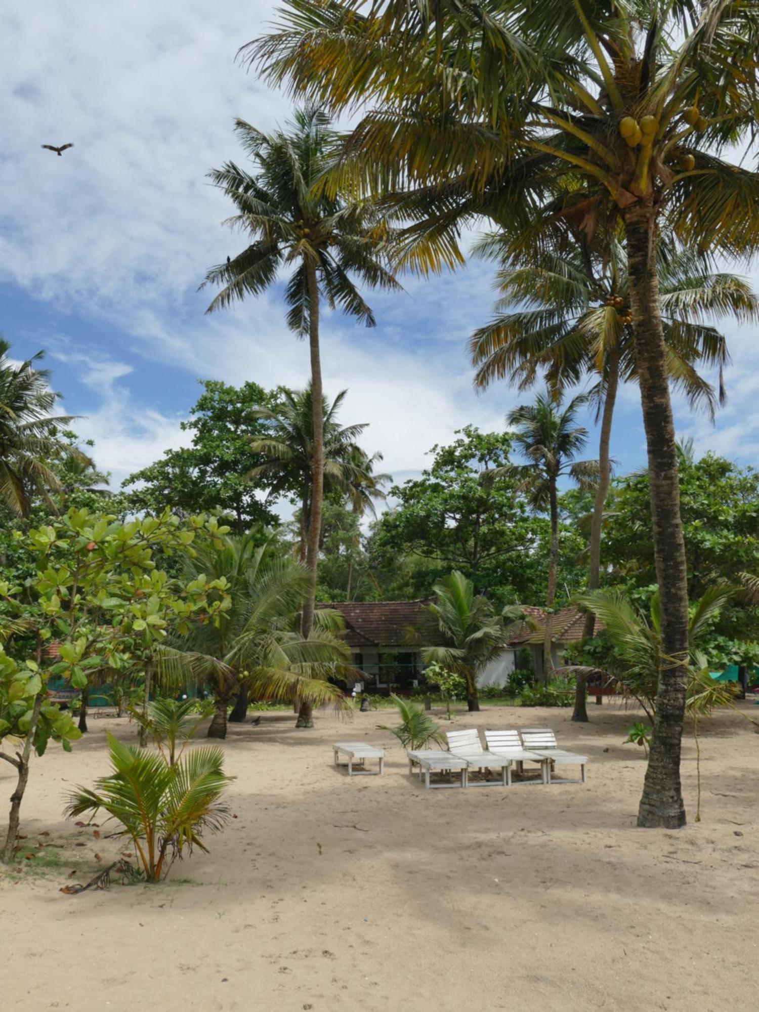 Marari Sealap Beach Villas Mararikulam Exterior foto